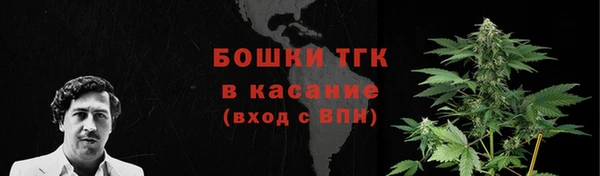 ГАЛЛЮЦИНОГЕННЫЕ ГРИБЫ Краснослободск