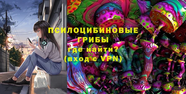 ГАЛЛЮЦИНОГЕННЫЕ ГРИБЫ Краснослободск