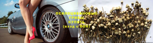 прущая мука Краснотурьинск