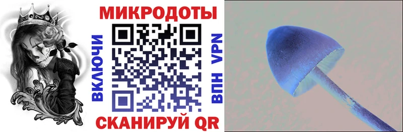 Купить  Новый Оскол  Псилоцибиновые грибы мухоморы 